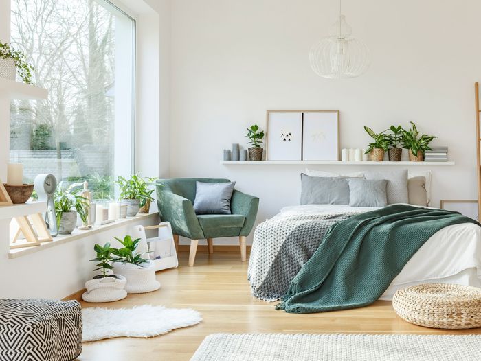 Open airy bedroom full of plants