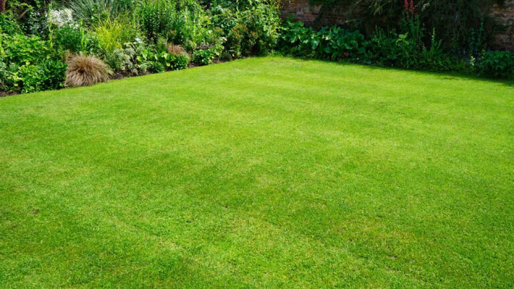 Lawn_iStock-502848762.0